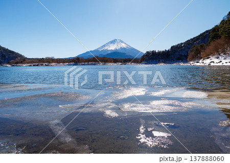 精進湖の早春の風景 結氷の湖面越しに観る子抱富士 山梨県 精進湖の早春の風景 結氷の湖面越しに観る子抱富士 山梨県 137888060