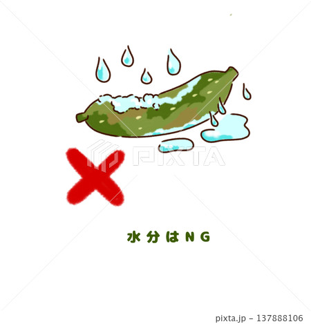 きゅうり 水分はNG(腐りやすくなる原因) きゅうり 水分はNG(腐りやすくなる原因) 137888106