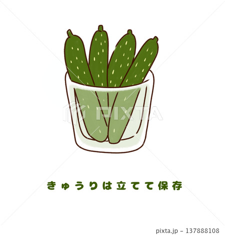 きゅうり 立てて保存する方法（鮮度を保つコツ） 137888108