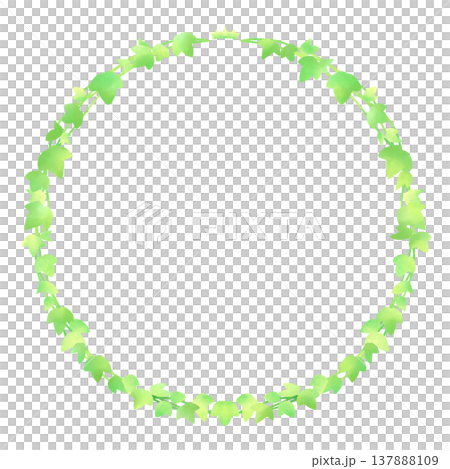 Green leaf frame / vine 137888109