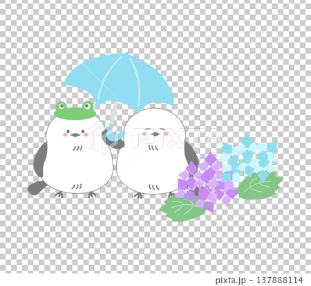 梅雨時期に傘をさして紫陽花を眺める二羽のシマエナガの可愛いイラスト 137888114