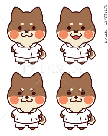 看護師服を着た赤茶色の柴犬/表情セット 137888179
