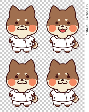 看護師服を着た赤茶色の柴犬/表情セット 137888179