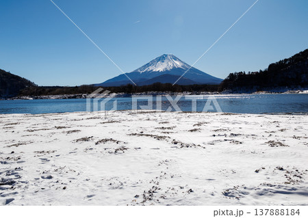 精進湖の早春の風景 結氷の湖面越しに観る子抱富士 山梨県 精進湖の早春の風景 結氷の湖面越しに観る子抱富士 山梨県 137888184
