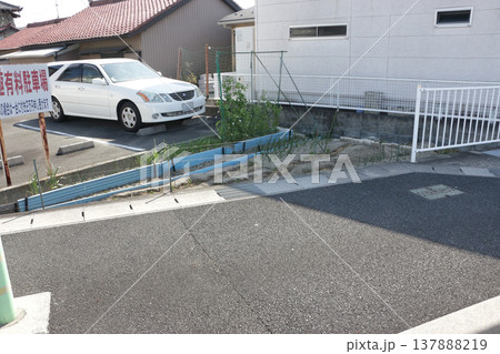 猫の額の畑 猫の額の畑 137888219