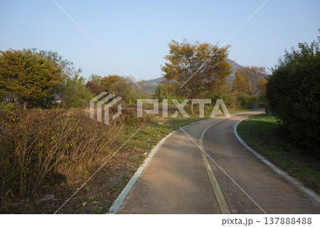 Han River bike path 137888488