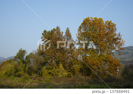 Han River bike path 137888491