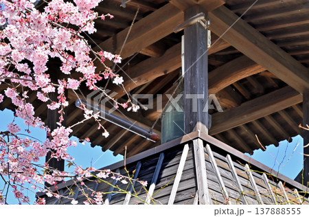 岩槻散歩：時の鐘　鐘楼 137888555