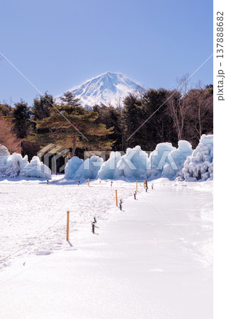 西湖野鳥の森公園　西湖樹氷まつり　富士河口湖町 137888682