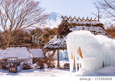 西湖野鳥の森公園　西湖樹氷まつり　富士河口湖町 137888688