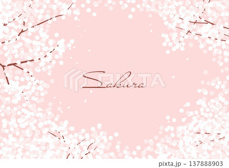 桜の花びらが舞う春の背景イラスト素材 ベクター ピンク 桜の花びらが舞う春の背景イラスト素材 ベクター ピンク 137888903