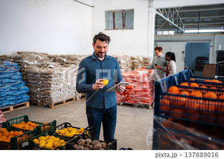 Produce warehouse worker inspecting fruit using digital tablet Produce warehouse worker inspecting fruit using digital tablet 137889016