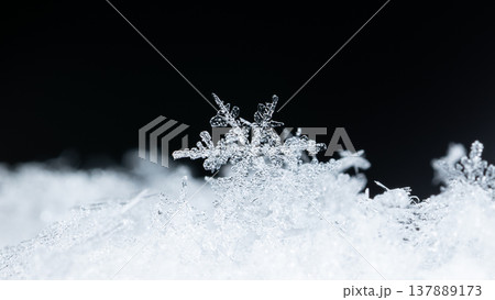 snowflake, little snowflake on the snow snowflake, little snowflake on the snow 137889173