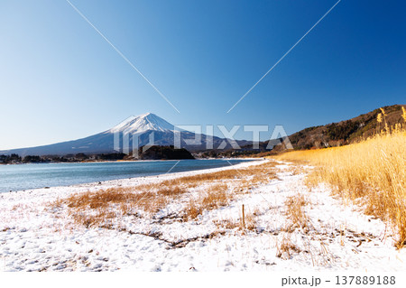 早春の河口湖の湖畔から富士山を望む 河口湖大石公園 早春の河口湖の湖畔から富士山を望む 河口湖大石公園 137889188