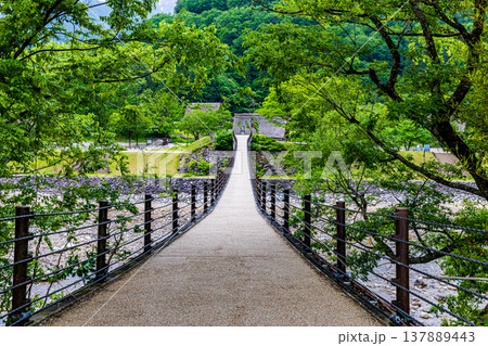 岐阜県　白川郷の風景 137889443