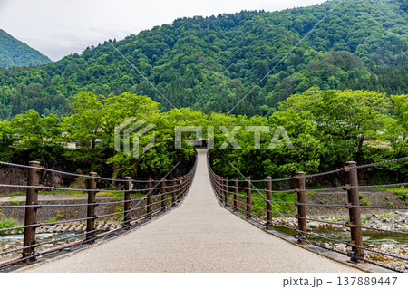 岐阜県　白川郷の風景 137889447