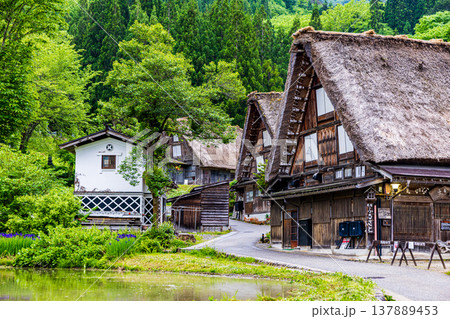岐阜県　白川郷の風景 137889453