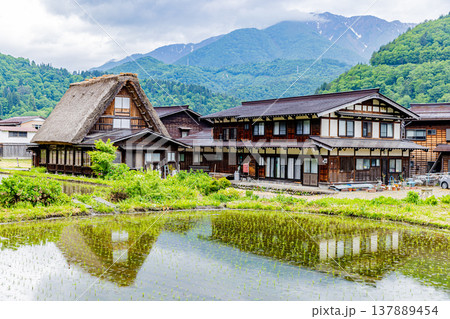 岐阜県　白川郷の風景 137889454