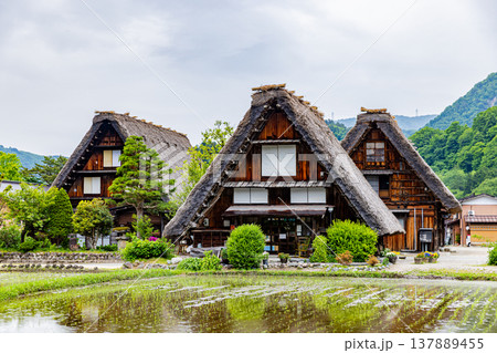 岐阜県　白川郷の風景 137889455