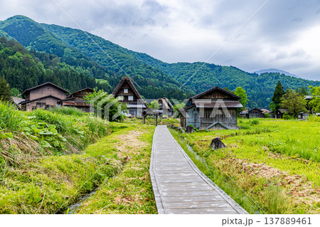 岐阜県　白川郷の風景 137889461