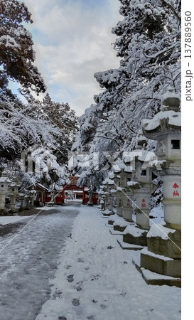 雪の息栖神社 雪の息栖神社 137889560