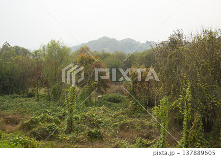 Han River bike path 137889605