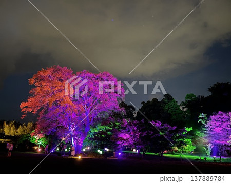 幻想庭園6 幻想庭園6 137889784