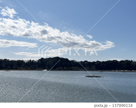 三月の千波湖 三月の千波湖 137890118