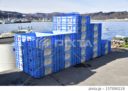 春の北海道八雲町落部漁港で魚箱の風景を撮影 春の北海道八雲町落部漁港で魚箱の風景を撮影 137890228