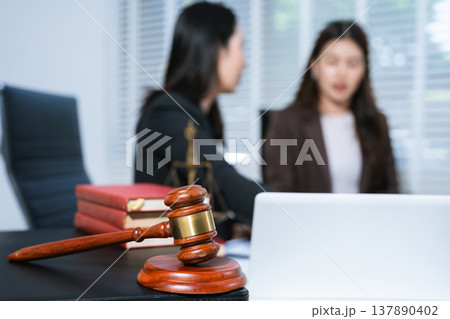 Lawyer and businessman or judge Consult with clients, legal and legal services. Lawyer and businessman or judge Consult with clients, legal and legal services. 137890402