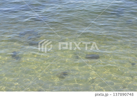 透明な海 137890748