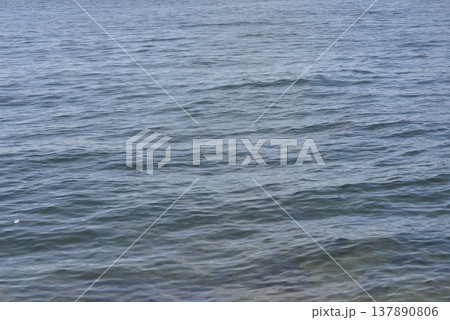 海面 137890806