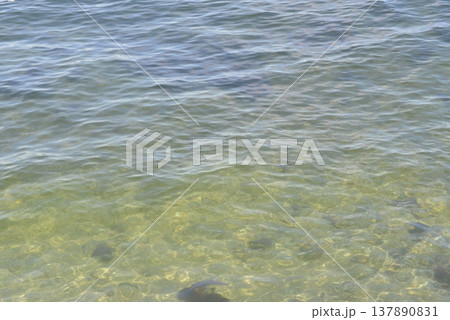 透明な海 透明な海 137890831