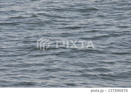 海面 海面 137890878