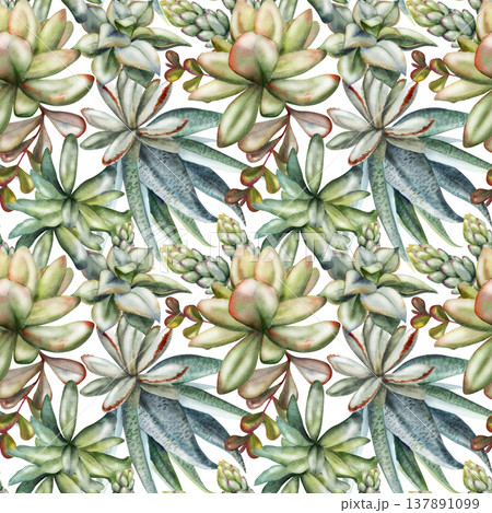 Seamless botanical pattern of sansevieria succulents, sedum cluster rosettes, echeveria fleshy leaves. Isolated illustration hand drawn in watercolor. Fabric collections, interior styling, eco product 137891099