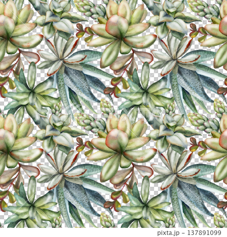 Seamless botanical pattern of sansevieria succulents, sedum cluster rosettes, echeveria fleshy leaves. Isolated illustration hand drawn in watercolor. Fabric collections, interior styling, eco product 137891099