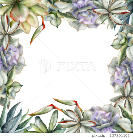 Echeveria rosette succulents, aloe and sansevieria plants, strelitzia flowers edging. Isolated illustration hand drawn in watercolor. Botanical border frame for product tags, zero-waste shop visuals Echeveria rosette succulents, aloe and sansevieria plants, strelitzia flowers edging. Isolated illustration hand drawn in watercolor. Botanical border frame for product tags, zero-waste shop visuals 137891105