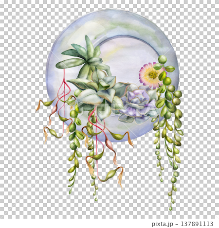 Rosette succulent plants, trailing tropical vines hanging in glass orb bubble terrarium. Isolated illustration hand drawn in watercolor. Yoga studio branding, eco lifestyle blogs, modern invitations. Rosette succulent plants, trailing tropical vines hanging in glass orb bubble terrarium. Isolated illustration hand drawn in watercolor. Yoga studio branding, eco lifestyle blogs, modern invitations. 137891113