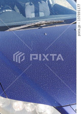 自動車ボンネットの汚れ 自動車ボンネットの汚れ 137891177