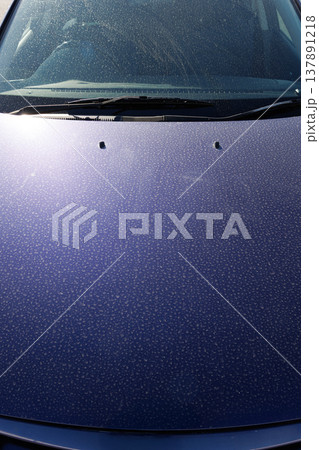 自動車ボンネットの汚れ 自動車ボンネットの汚れ 137891218