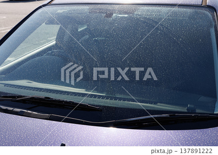 自動車ボンネットの汚れ 自動車ボンネットの汚れ 137891222