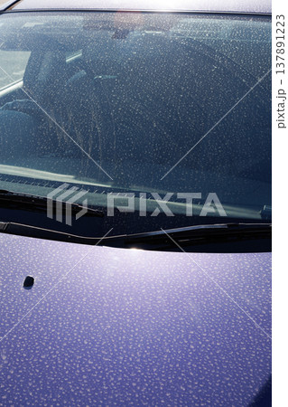 自動車ボンネットの汚れ 自動車ボンネットの汚れ 137891223