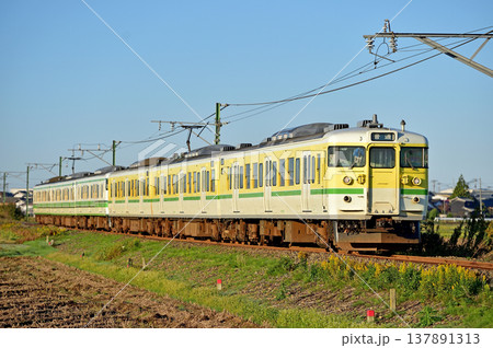 越後線　分水－粟生津　JR東日本　115系　N36編成（新潟） 137891313