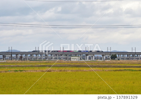 上越新幹線 長岡-燕三条 JR東日本 E3系700番台(新潟) 現美新幹線 上越新幹線 長岡-燕三条 JR東日本 E3系700番台(新潟) 現美新幹線 137891329