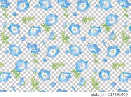 Seamless pattern of blue nemophila 137891400