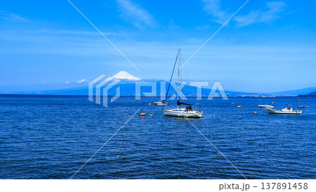 駿河湾に浮かぶヨット 駿河湾に浮かぶヨット 137891458
