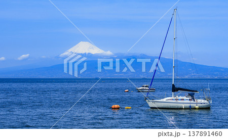 駿河湾に浮かぶヨット 駿河湾に浮かぶヨット 137891460