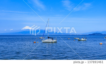 駿河湾に浮かぶヨット 137891461
