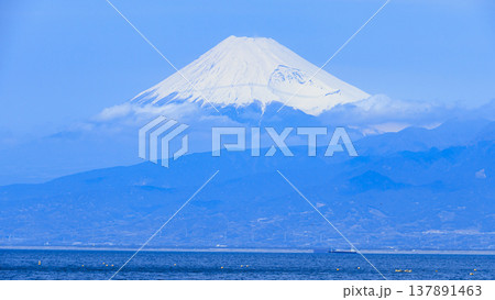 駿河湾に浮かぶヨット 137891463