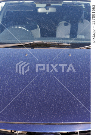 自動車ボンネットの汚れ 137891662